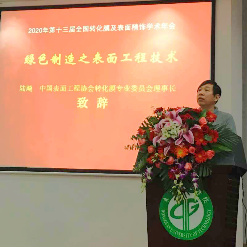 中国表面工程协会转化膜专业委员会理事长陆飚教授致辞